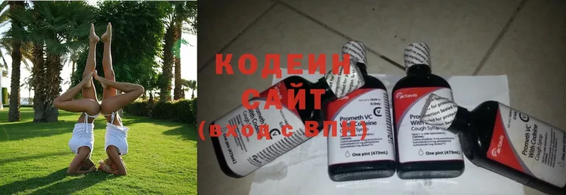 Кодеиновый сироп Lean Purple Drank  Высоцк 